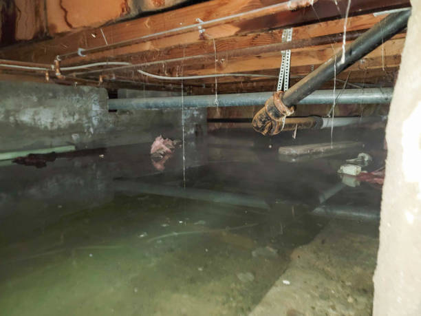 Best Residential water damage restoration  in Bowdon, GA