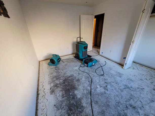 Best Water damage mitigation services  in Bowdon, GA