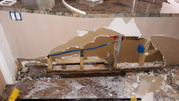 Best Fire Damage Restoration  in Bowdon, GA