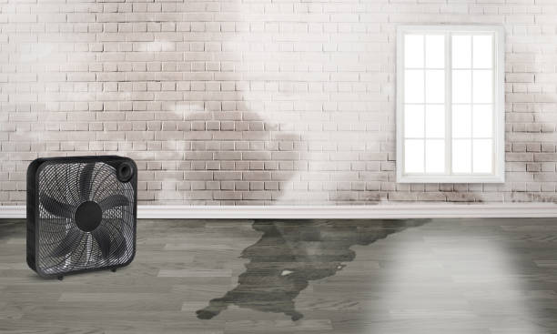 Best Sewage cleanup and water damage restoration  in Bowdon, GA