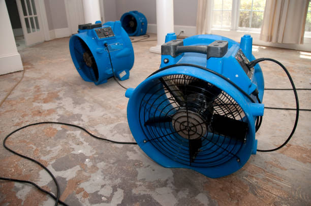 Best Emergency water damage restoration  in Bowdon, GA
