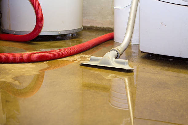 Best 24/7 water damage repair  in Bowdon, GA