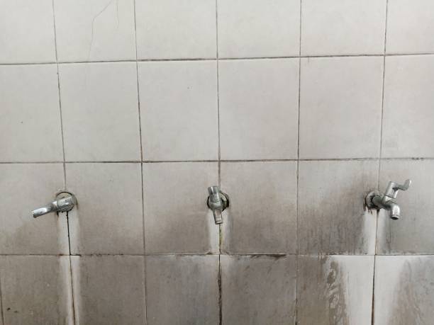 Best Water damage restoration near me  in Bowdon, GA