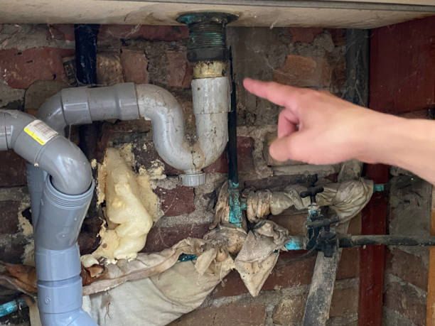 Best Flooded house restoration  in Bowdon, GA
