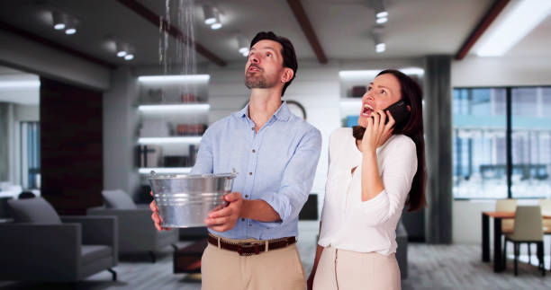 Best Water damage cleanup near me  in Bowdon, GA
